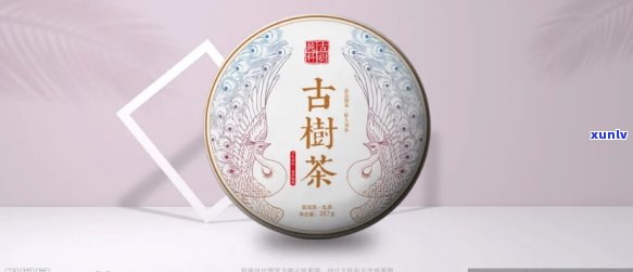 古树茶包装图片大全-古树茶包装图片大全大图