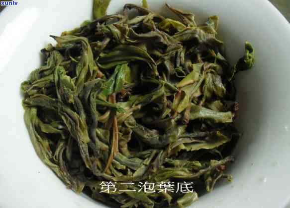 邦威单株古树茶价格，邦威单株古树茶价格是多少？