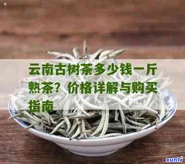 全面比较：大益普洱茶饼各大系列优劣，助您轻松选好茶饼