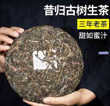 昔归古树茶是生茶吗-昔归古树茶是生茶吗还是熟茶