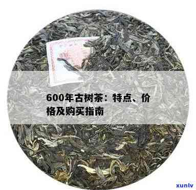 500年古树茶价钱多少，探究500年古树茶的市场价格：一种稀世珍品的价值评估