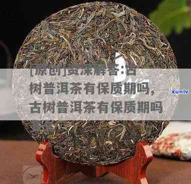 古树茶保质期多长时间，揭秘古树茶的保质期：多久才是最合适的？