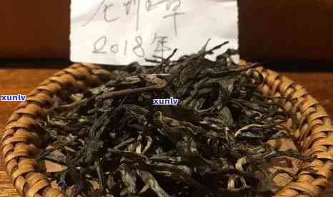 无量山古树茶有收藏价值吗，探讨无量山古树茶的收藏价值