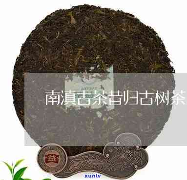 南滇古茶昔归古树茶-云南昔归古树茶