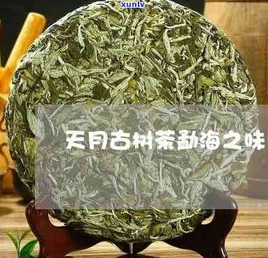 天月古树茶百年臻品-天月古树茶价格