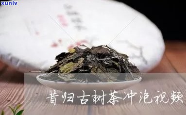 昔归古树茶如何冲泡-昔归古树茶冲泡 *** 