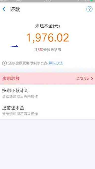 银镶的翡翠结实吗？值钱吗？请看图片解析