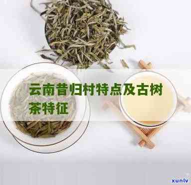 普洱茶冲泡技巧：如何确定每次适宜的茶叶用量