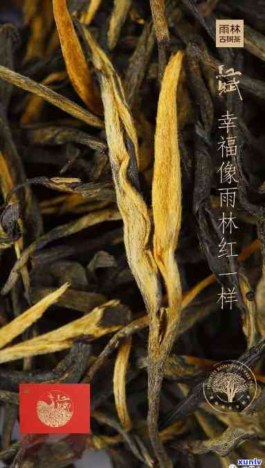 冰岛古树生茶口感特点，探索冰岛古树生茶的独特口感特点