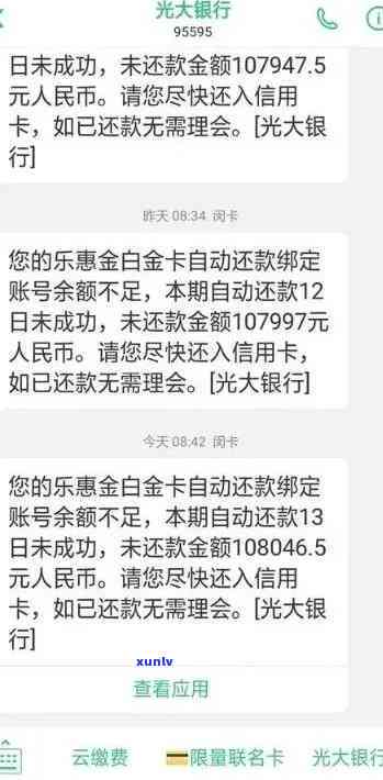 冰岛古树茶价格：500年、价格表、走势图及图片，287克多少钱？