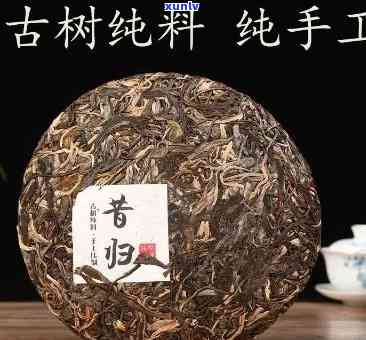 昔归古树茶定制珍藏-昔归古树茶介绍