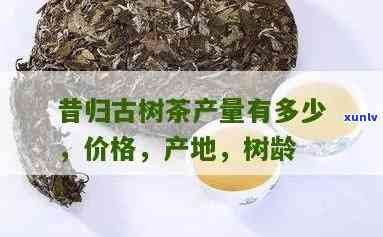 昔归母树古树茶价格-昔归古树茶价格表