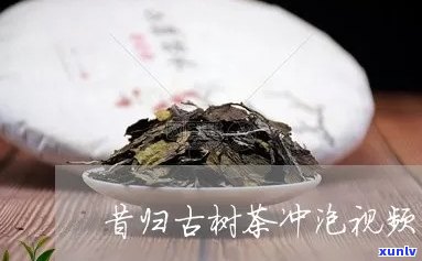 昔归古树茶的保存与冲泡  全解