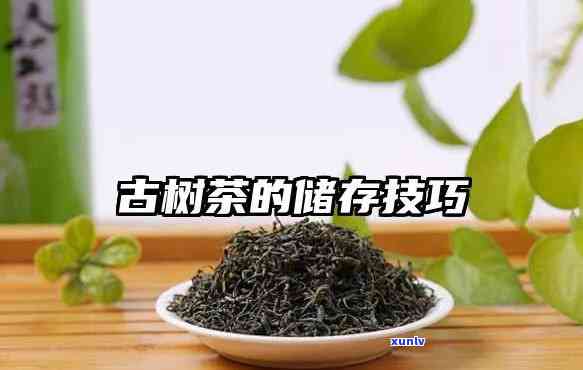 昔归古树茶如何保存-昔归古树茶怎么保存