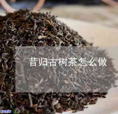 昔归古树茶采摘 *** -昔归古树茶如何冲泡