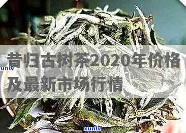 昔归古树茶2020年价格及市场走势分析