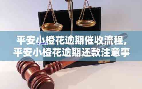 深圳公积金逾期怎么办？影响、需要补交手续全解析