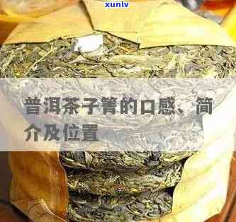 子箐古树茶怎么泡-子箐古树茶口感