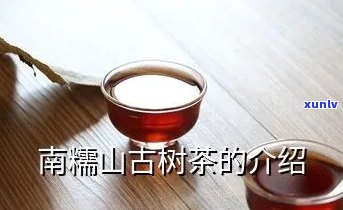 南糯山古树茶怎么泡-南糯山古树茶怎么泡才好喝