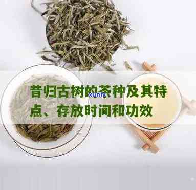 昔归古树茶存放几年喝，揭秘茶叶保存时间：昔归古树茶的品尝期是几年？