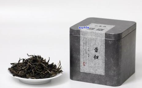 昔归古树茶：揭秘其特别地理位置与原生态生长环境