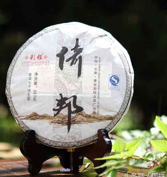 西双版纳古树茶价格多少？全网更低价！