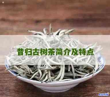 昔归单株古树茶特点-昔归单株是什么茶