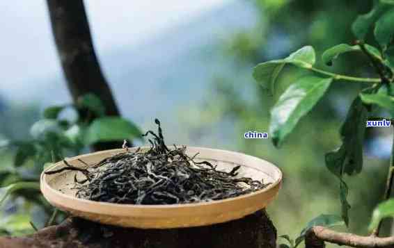 纯料古树茶的口感是怎样的，探索纯料古树茶的独特口感：一次味蕾的旅行