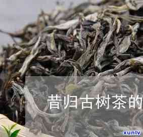 昔归古树茶真假辨别-昔归古树茶怎么样