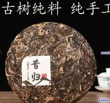 昔归古树茶手工挑选-昔归古树茶怎么泡