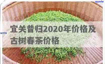 昔归古树茶大茶业-昔归古树茶2020年价格