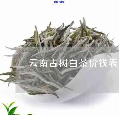 南糯古树白茶：价格与介绍