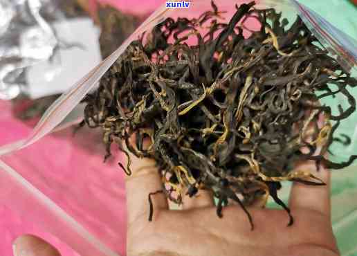 500年古树茶南糯-南糯千年古树野生茶