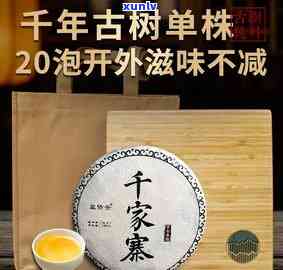 千家寨古树茶2021年价格，《探寻古韵：千家寨古树茶2021年价格及品质评测》