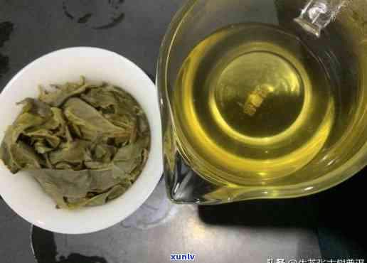 昔归古树茶如何冲泡，冲泡指南：教你如何冲泡口感丰富的昔归古树茶