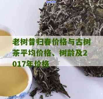 昔归古树茶多少1斤？最新价格表在此！