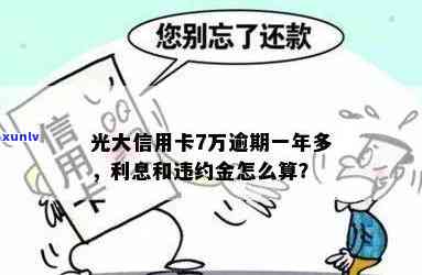 莆田普洱茶招商条件全面解析：投资门槛、合作模式、市场前景一应俱全