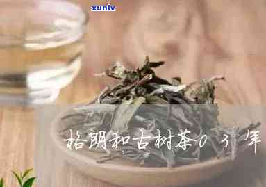 格朗和古树茶03年-格朗和古树茶03年哪个好喝