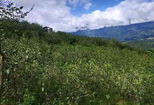 探索临沧昔归山：旅游攻略与美景图片全览