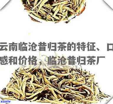 临沧昔归茶厂，探寻云南茶马古道上的瑰宝：临沧昔归茶厂