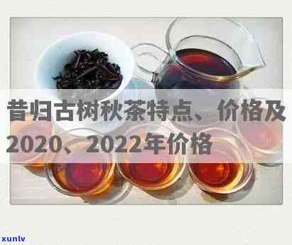 昔归古树茶2022价格：多少？属于哪个档次？