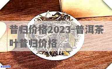 2023年昔归古树茶价格全览表