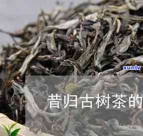 真的昔归古树茶价格-昔归古树茶叶多少钱