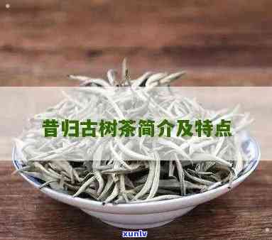 昔归单株古树茶价格-昔归单株是什么茶