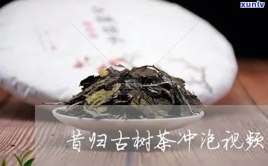 昔归古树茶冲泡 *** 及功效全解析