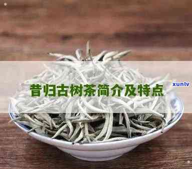 昔归古树茶视频大全-昔归古树茶有哪些特点?