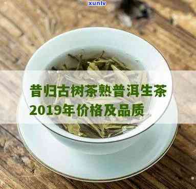 生茶昔归古树茶价格-昔归古树茶生茶有什么效果