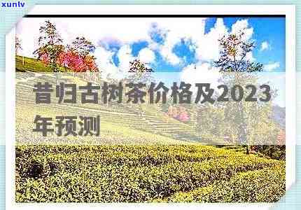 2023昔归古树茶价格表大全