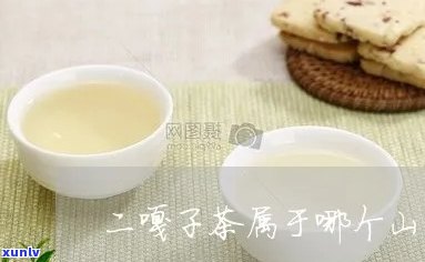 二嘎子茶属于什么系列？详解该茶的品种与特点