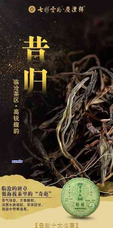 昔归古树茶有哪些特点，探秘昔归古树茶：特点解析与品鉴指南